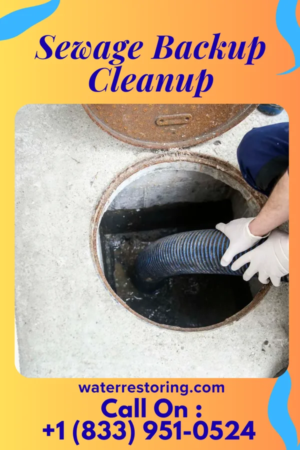 Sewage Backup Cleanup in Coweta, OK